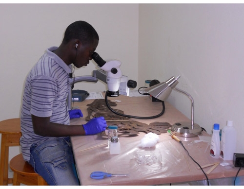 Art & Cultural Heritage Conservation in Haiti: Considerations for Its Formal Development