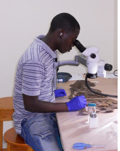 Art & Cultural Heritage Conservation in Haiti: Considerations for Its Formal Development