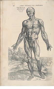 Art, Faith and Medicine in Tintoretto's Venice