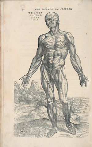 Art, Faith and Medicine in Tintoretto's Venice