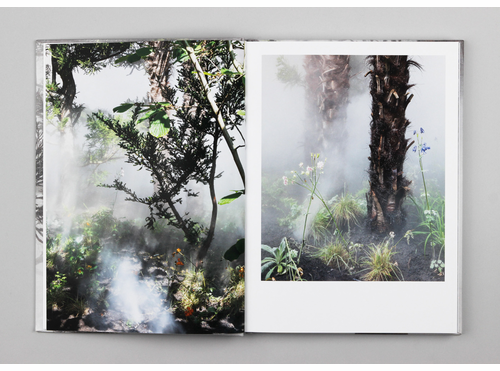 Artbook @ MoMA PS1 Bookstore presents the launch of Ben Thorp Brown's 'Cura's Garden' 