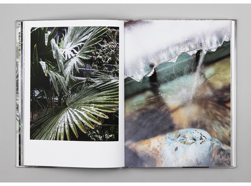 Artbook @ MoMA PS1 Bookstore presents the launch of Ben Thorp Brown's 'Cura's Garden' 