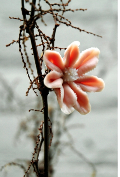 ARTBOOK @ MoMA PS1 presents 'Heide Hatry: Not a Rose'