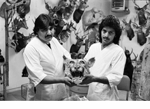 Arthur Grace: America 101