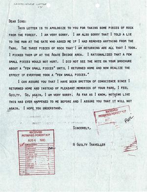 Bad Luck, Hot Rocks: Conscience Letters and Photographs from the Petrified Forest
