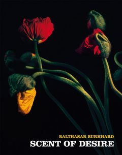 Balthasar Burkhard: Scent Of Desire