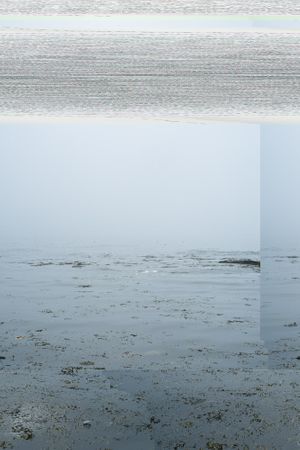 Barry Stone: Daily, In A Nimble Sea