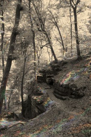 Bastiaan van Aarle: Moving Mountains