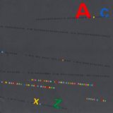 Baumann & Baumann: The Abc Book