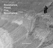Beate G�tschow: Resistance, Flood, Fire, Resistance.