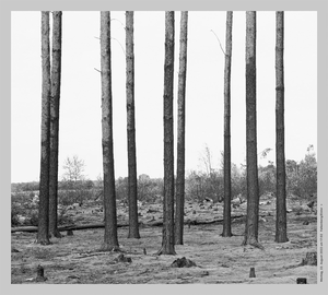 Beate G�tschow: Resistance, Flood, Fire, Resistance.