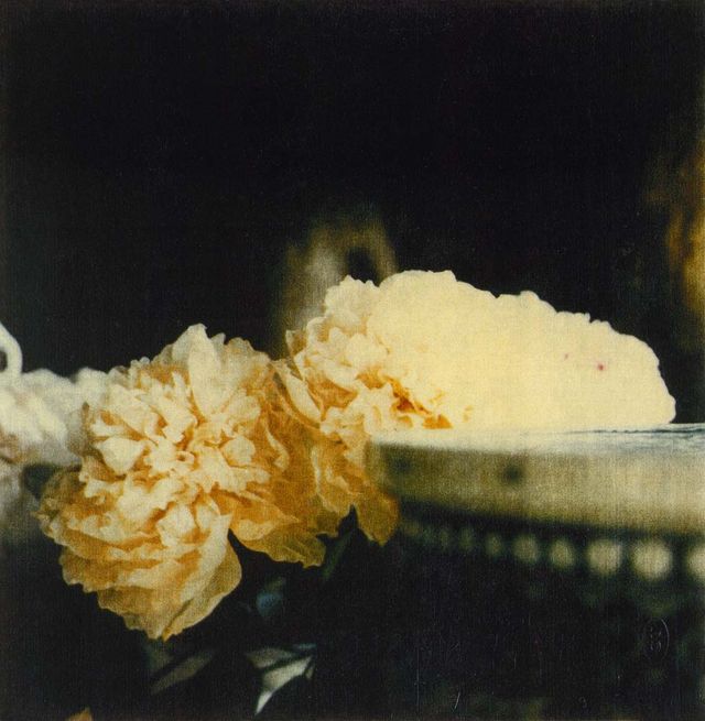 Back in Stock! The Essential Cy Twombly