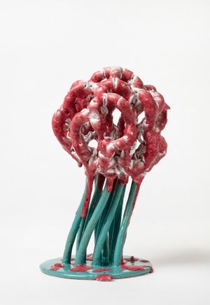 Bente Skjttgaard: Nature and Glaze