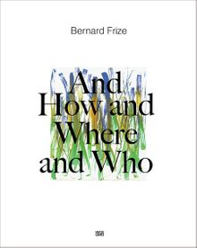 Bernard Frize: And How and Where and Who