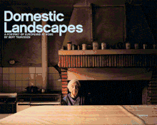Bert Teunissen: Domestic Landscapes