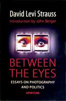 Between the Eyes: Essays On Photography And Politics