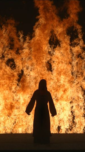Bill Viola / Michelangelo