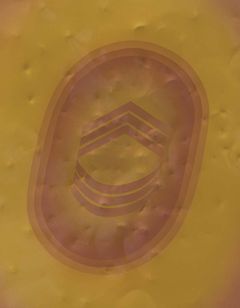 Billy Al Bengston: Dentos