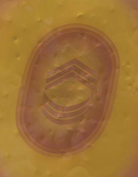 Billy Al Bengston: Dentos