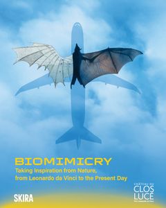 Biomimicry: Taking Inspiration from Nature