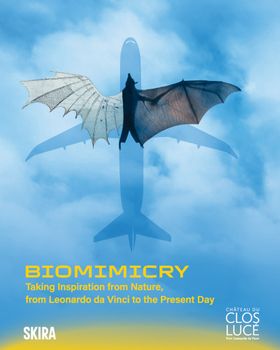 Biomimicry: Taking Inspiration from Nature