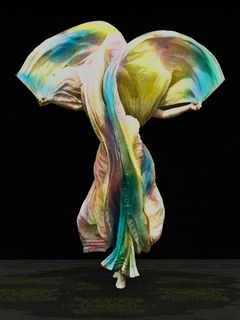 Birds of Paradise