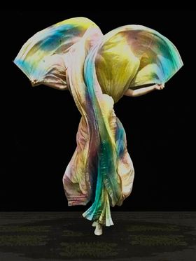Birds of Paradise