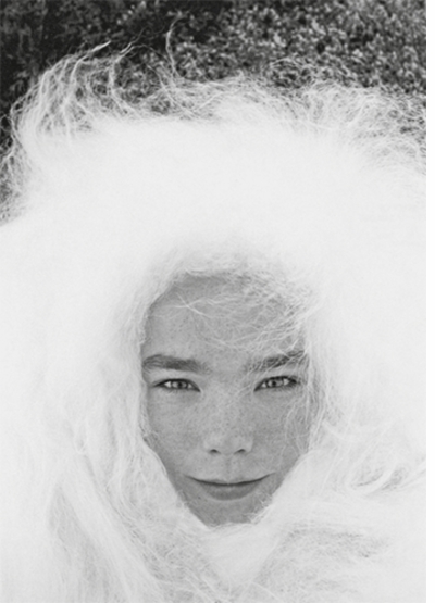 Bjrk