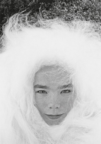 Björk