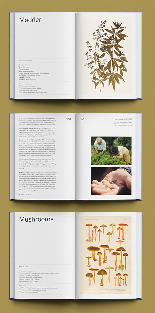 Featured spreads are from