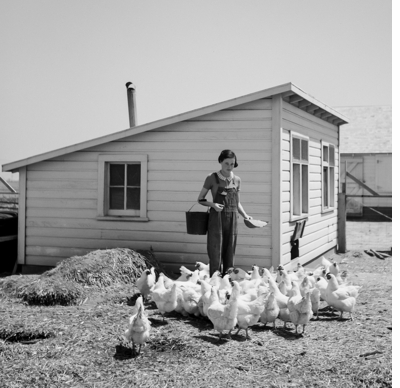 Happy Holidays from Artbook | D.A.P. 