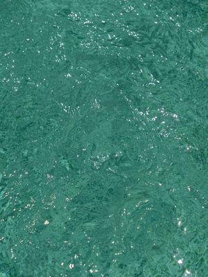 Bob Farese, Jr.: A Perfect Medium