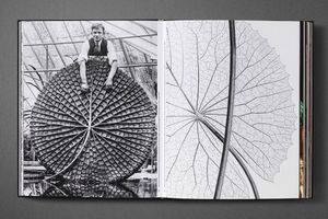 Botanical: Observing Beauty