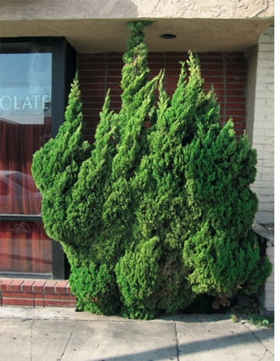 'Both Sides of Sunset' at Hamburg Kennedy