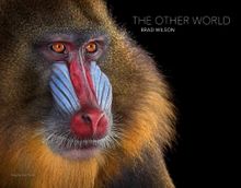 Brad Wilson: The Other World