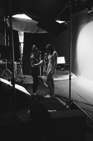 Brice Dellsperger: Twelve Body Doubles