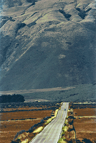 Bruce Davidson: In Color
