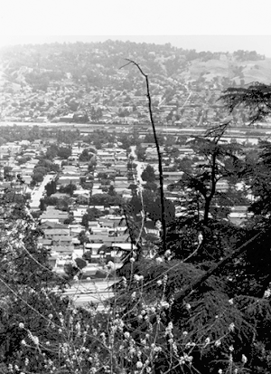 Bruce Davidson: Nature of Los Angeles 20082013