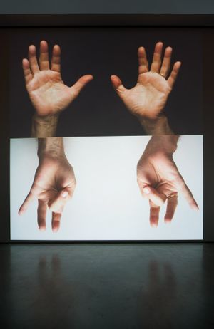 Bruce Nauman: Contrapposto Studies