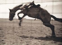 Bygone Days:1907-1957 Photographs By John Penor And Family