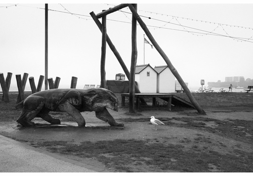 'Byways' Book Signing with Oscar-Winning Cinematographer Sir Roger A. Deakins 