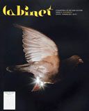 Cabinet 21: Electricity