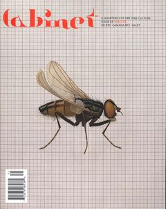 Cabinet 25: Insects