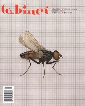 Cabinet 25: Insects