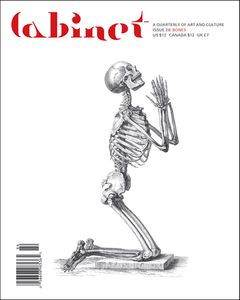 Cabinet 28: Bones