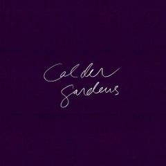 Calder Gardens: Drawings and Texts by Jacques Herzog