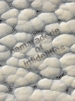 Camaraderie of Infidelities