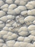 Camaraderie of Infidelities