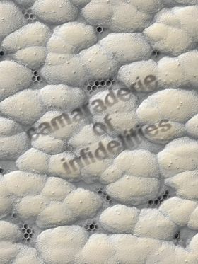 Camaraderie of Infidelities