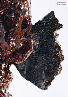 Cameron Jamie: Inner Planets